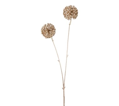 Kunstblume Allium, 5er Set, Farbe champagner, Höhe...