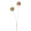 Kunstblume Allium, 5er Set, Farbe champagner, Höhe ca. 55 cm