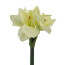 Kunstblume Amaryllis gross, 3er Set, Farbe creme, Höhe 32 cm