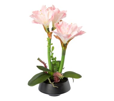 Kunstpflanze Amaryllis, Farbe rose, inkl. Schale,...