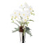 Kunstpflanze Phalenopsisgesteck, Farbe weiß, inkl. Keramikvase, Höhe ca. 70 cm