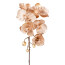 Kunstblume Phalenopsis Velvet, 2er Set, Farbe champagner, Höhe 78 cm