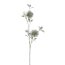 Kunstblume Alliumzweig, 3er Set, Farbe silber, Höhe ca. 76 cm
