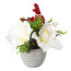 Kunstpflanze Amaryllis-Mix, 2er Set, Farbe weiß, inkl. Cementtopf, Höhe ca. 18 cm
