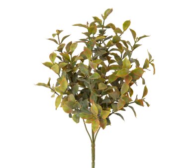 Kunstpflanze Ruscusbusch, 3er Set, Farbe grün,...
