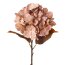 Kunstblume Hortensie, 2er Set, Farbe braun, Höhe ca. 48 cm