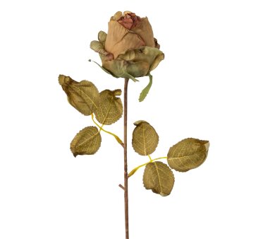 Kunstblume Rose, 6er Set, Farbe grün-braun,...