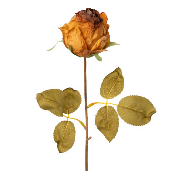 Kunstblume Rose, 6er Set, Farbe braun, Höhe ca. 45 cm