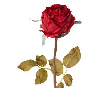 Kunstblume Rose, 5er Set, Farbe rot, Höhe ca. 60 cm