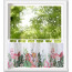 Bistro-Gardine MAYLEEN, mit Schlaufen, Digitaldruck, transparent, Farbe multicolor, HxB 45x120 cm