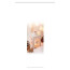 Schiebevorhang Deko blickdicht LATERNE, Farbe natur, Größe BxH 60x245 cm