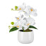 Kunstpflanze Phalenopsis, Farbe weiß, inkl. weißem Keramiktopf, Höhe ca. 22 cm