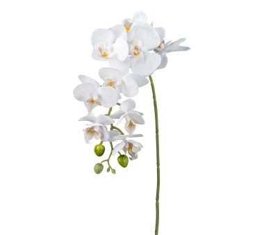 Kunstblume Phalenopsis, 3er Set, Farbe weiß,...