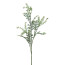 Künstlicher Silberblattzweig mit Blüten, 4er Set, Farbe grau-grün, Höhe ca. 58 cm