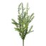 Kunstpflanze Rosmarinbusch, 2er Set, Farbe grün, Höhe ca. 60 cm