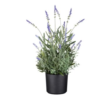 Kunstpflanze Lavendel, Farbe lila, inkl. Kunststofftopf,...
