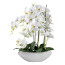 Kunstpflanze Phalenopsis, Farbe weiß, inkl. Keramikschale, Höhe ca. 63 cm