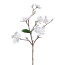 Kunstblume Magnolie, 2er Set, Farbe weiß, Höhe ca. 63 cm