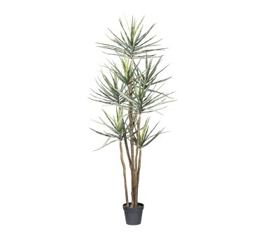Kunstpflanze Yucca Gloriosa, Farbe grün-grau, inkl....