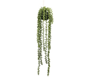 Kunstpflanze Senecio-Hänger, Farbe grün, im...
