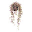 Kunstpflanze Senecio Purple Flash, Farbe grün-lila, inkl. Kunststofftopf, Höhe ca. 40 cm