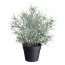 Kunstpflanze Steineibenbusch, Farbe grün-grau, inkl. Kunststofftopf, Höhe ca. 33 cm