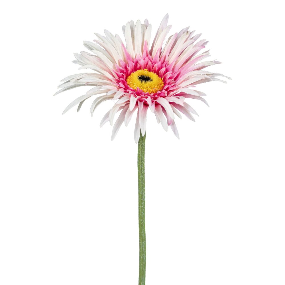 Kunstblume Gerbera, 7er Set, Farbe rosa, Höhe ca. 66 cm ✔ online  kaufen