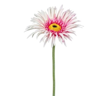 Kunstblume Gerbera, 7er Set, Farbe rosa, Höhe ca. 66 cm