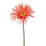 Kunstblume Gerbera, 7er Set, Farbe lachs, Höhe ca. 66 cm