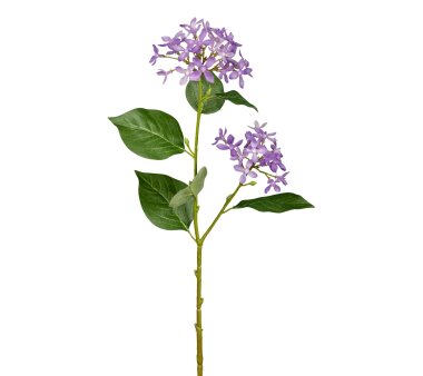 Kunstblume Flieder, 3er Set, Farbe lila, Höhe ca. 56 cm