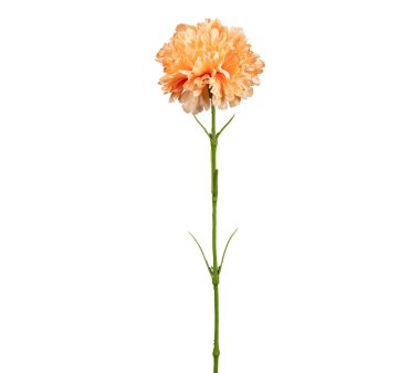 43 kaufen online Höhe cm Farbe Set, 6er ✔ ca. Nelke, Kunstblume orange,