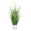 Kunstpflanze Pampasgras, Farbe creme, inkl. weißem Topf, Höhe ca. 82 cm