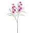 Kunstblume Orchideenzweig, 2er Set, Farbe pink, Höhe ca. 77 cm