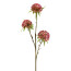 Kunstblume Allium, 4er Set, Farbe pink, Höhe ca. 62 cm