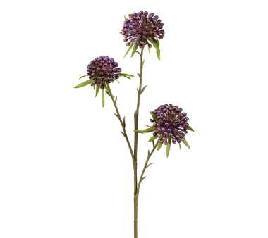 Kunstblume Allium, 4er Set, Farbe lila, Höhe ca. 62 cm