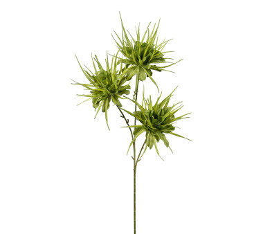 Kunstblume Epiphyllum, 2er Set, Farbe grün,...