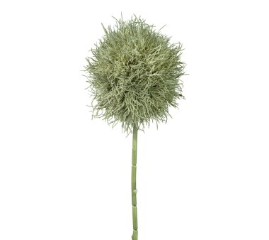 Kunstblume Allium, 2er Set, Farbe grau-grün,...