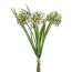 Kunstblume Allium-Grasbund, 2er Set, Farbe weiß, Höhe ca. 28 cm