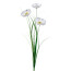 Kunstblume Mohn mit Gras, 5er Set, Farbe weiß, Höhe ca. 50 cm