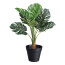 Kunstpflanze Splitphilodendron, Farbe grün, inkl. Kunststofftopf, Höhe ca. 45 cm