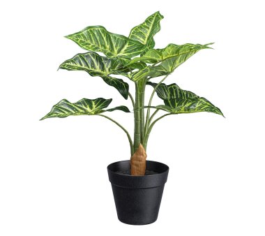 Kunstpflanze Syngonium, Farbe grün-rot, inkl. weißem Melamintopf, Höhe ca.  100 cm ✔ online kaufen