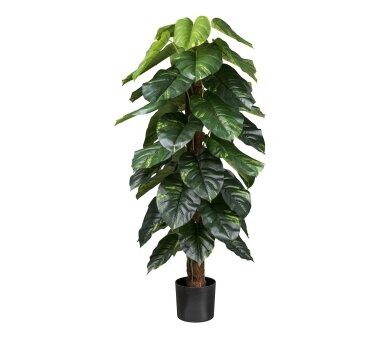 Kunstpflanze Philodendron Scandens mit Cocosstamm, Farbe...