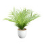 Kunstpflanze Mini-Arecapalme, Farbe grün, inkl. weißem Kunststofftopf, Höhe ca. 37 cm