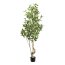 Kunstpflanze Laurus Nobilis, Farbe grün, inkl. Kunststofftopf, Höhe ca. 195 cm