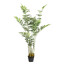 Kunstpflanze Ming-Palme, Farbe grün, inkl. Kunststofftopf, Höhe ca. 180 cm