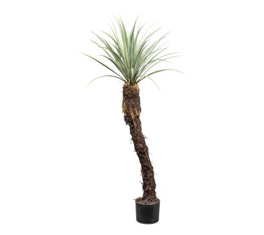 Kunstpflanze Yucca Rostrata, Farbe grau-grün, inkl....
