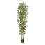 Kunstpflanze Bambus, Naturstamm, Farbe grün, inkl. Kunststofftopf, Höhe ca. 210 cm