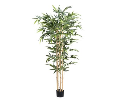 Kunstpflanze Bambus, Naturstamm, Farbe grün, inkl....