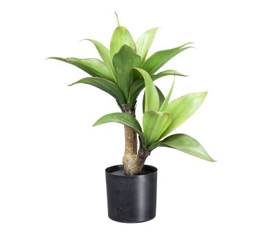 Kunstpflanze Agave, grün, inklusive Kunststoff-Topf, Höhe ca. 36 cm online  kaufen