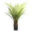Kunstpflanze Baumfarn Dicksonia, Farbe grün, inkl. Kunststofftopf, Höhe ca. 115 cm